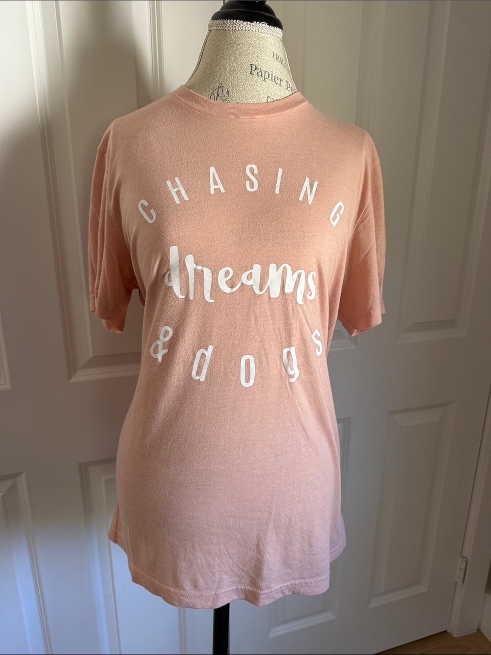 Bella Canvas Peach Graphic Tee "Chasing Dreams & Dogs"